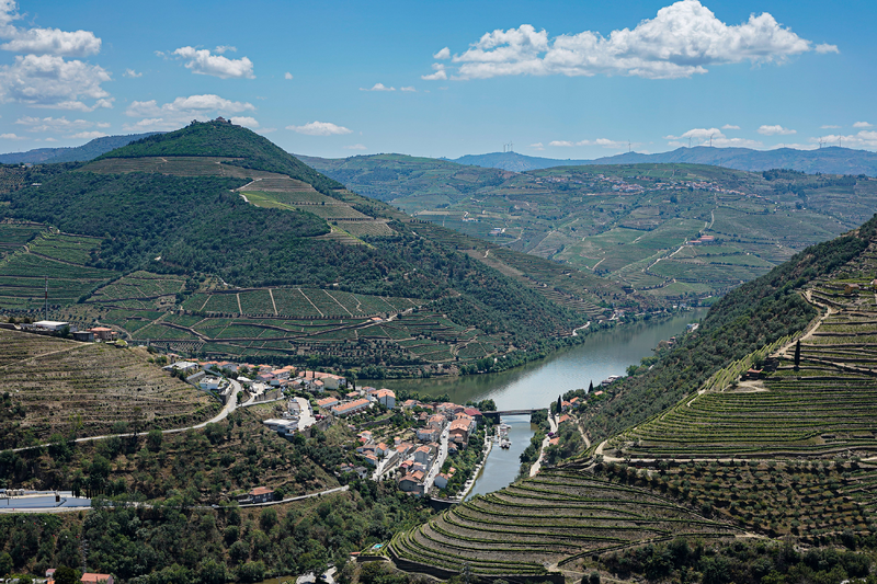 Portugal: Grandes Escolhas | Vinhos & Sabores
